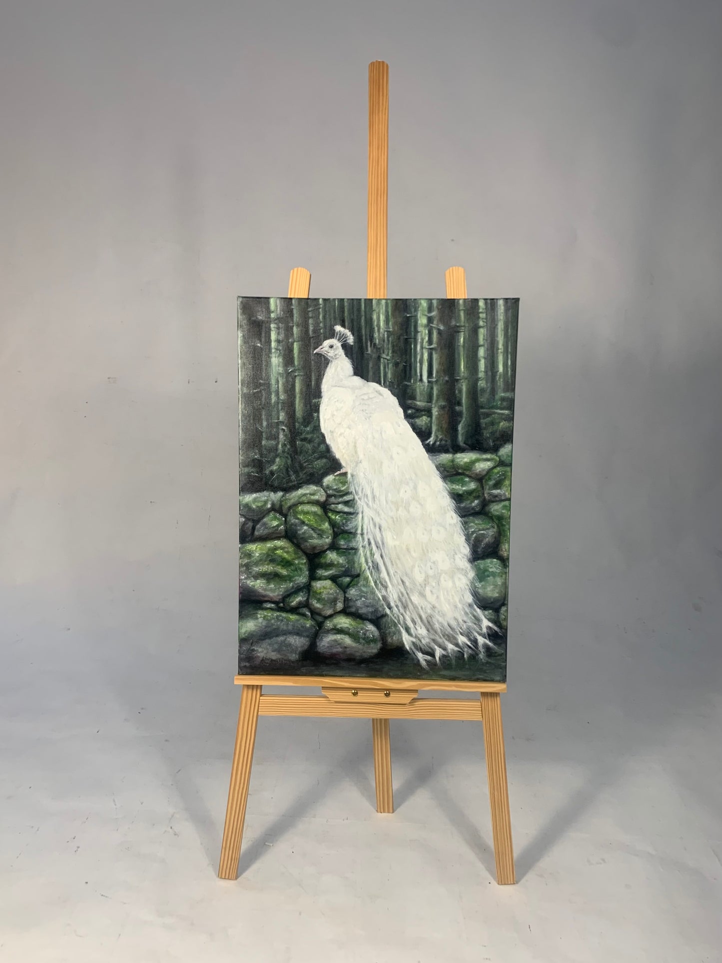 The white peacock