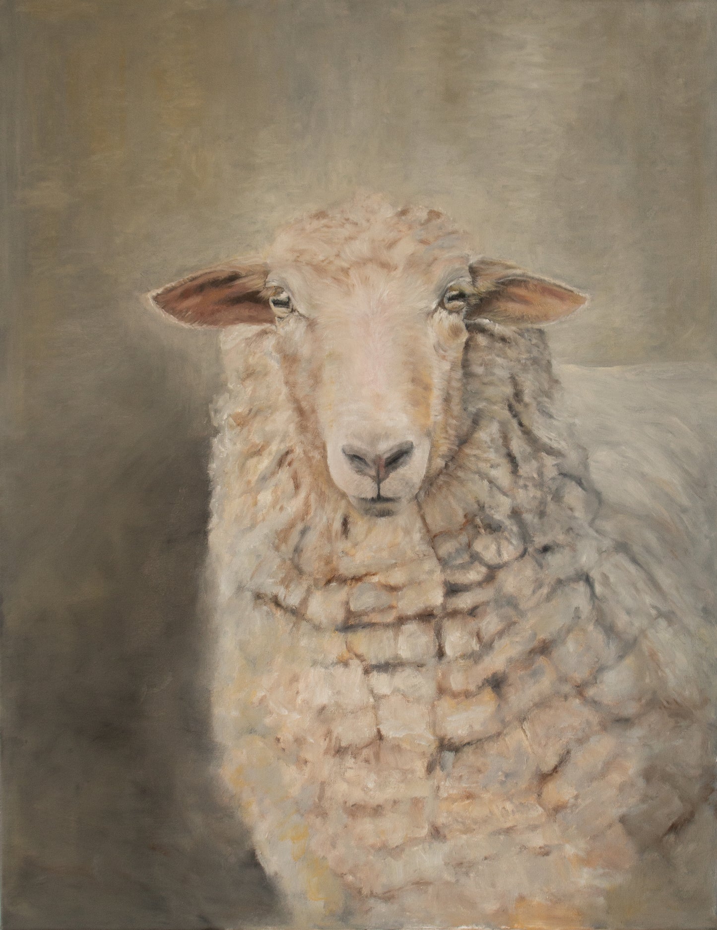 The Sheep