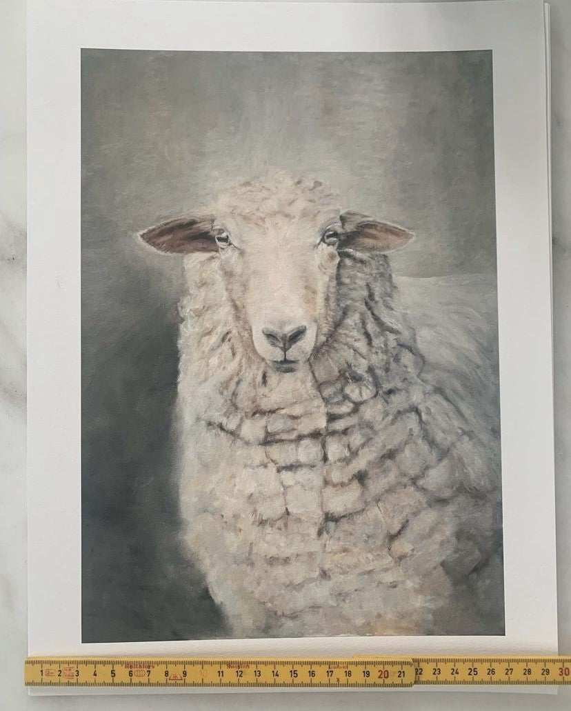 The Sheep