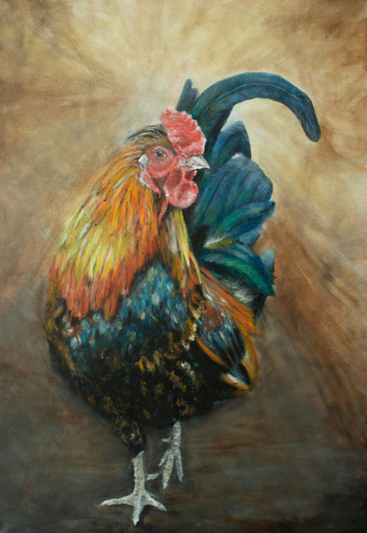 Rooster